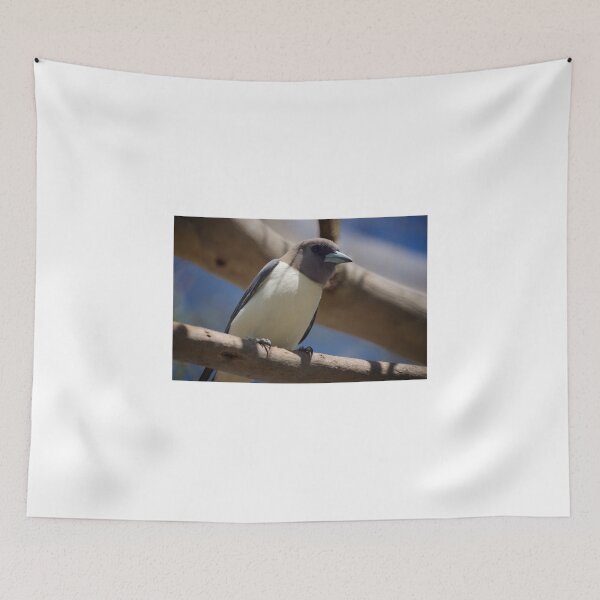 Item preview, Woodswallow - White breasted designed and sold by D-GaP.