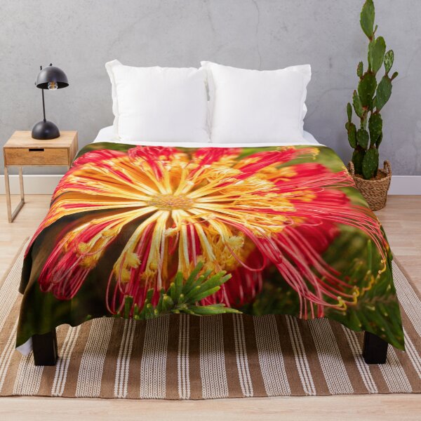 Item preview, red banksia circle 2 designed and sold by Esther Frieda.