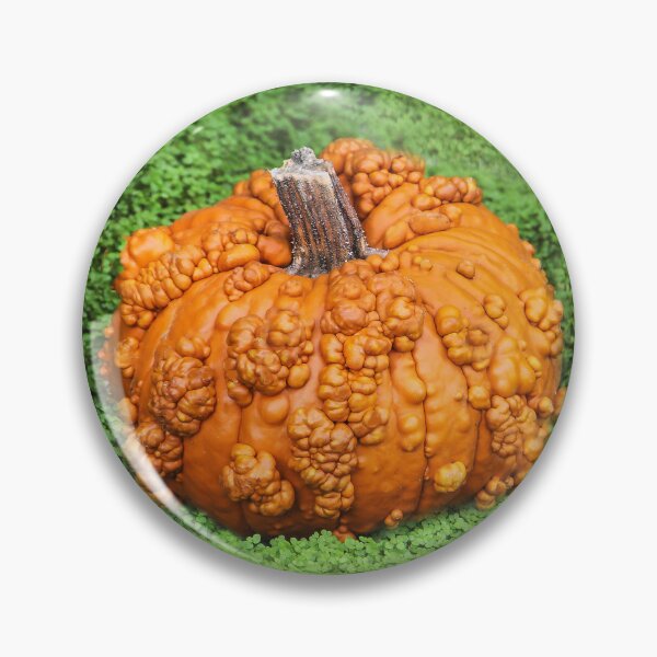 Item preview, Lumpy Bumpy Pumpkin designed and sold by heatherfriedman.