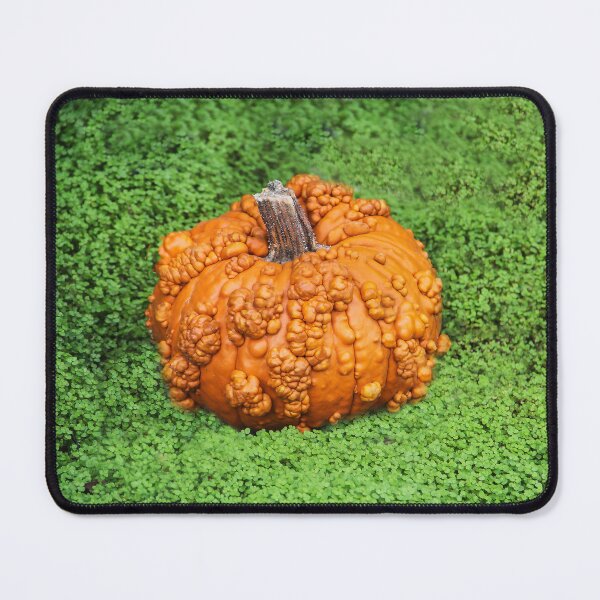 Item preview, Lumpy Bumpy Pumpkin designed and sold by heatherfriedman.