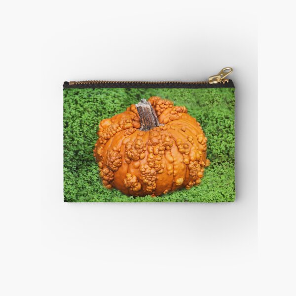 Item preview, Lumpy Bumpy Pumpkin designed and sold by heatherfriedman.