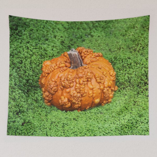 Item preview, Lumpy Bumpy Pumpkin designed and sold by heatherfriedman.