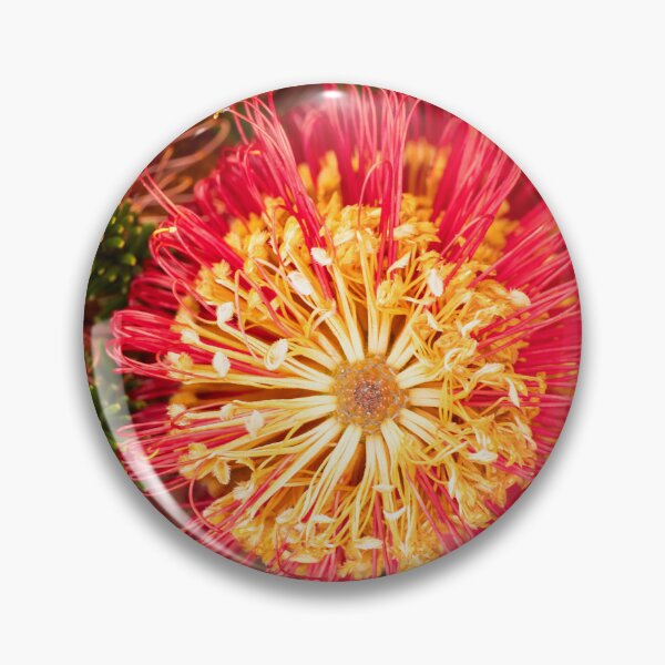 Item preview, red banksia spokes designed and sold by Esther Frieda.