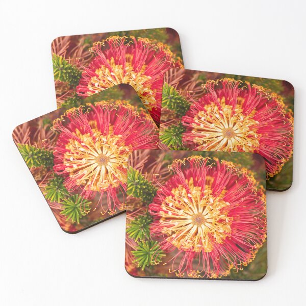 Item preview, red banksia spokes designed and sold by Esther Frieda.