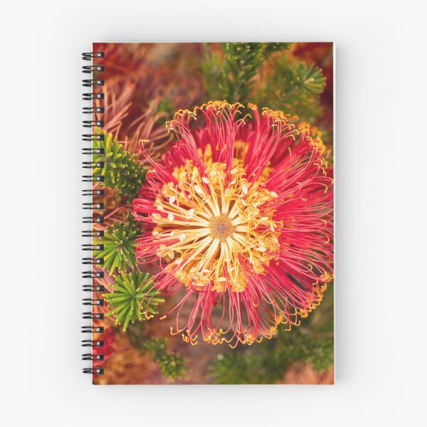 Item preview, red banksia spokes designed and sold by Esther Frieda.