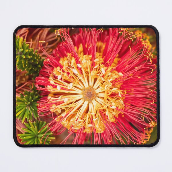 Item preview, red banksia spokes designed and sold by Esther Frieda.