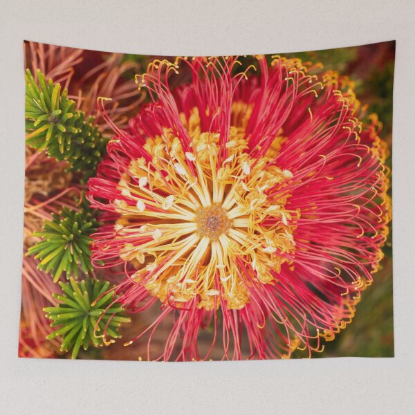 Item preview, red banksia spokes designed and sold by Esther Frieda.