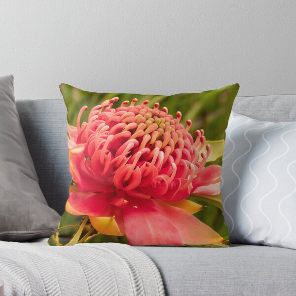 Item preview, red waratah open designed and sold by Esther Frieda.