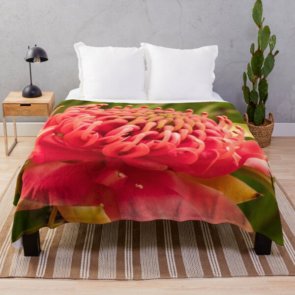Item preview, red waratah open designed and sold by Esther Frieda.