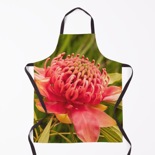 Item preview, red waratah open designed and sold by Esther Frieda.
