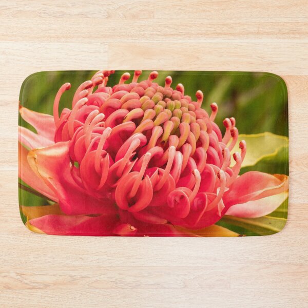 Item preview, red waratah open designed and sold by Esther Frieda.