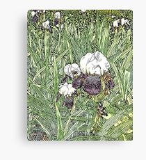 Bloom Canvas Print