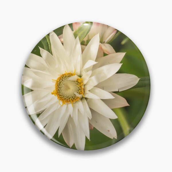 Item preview, white daisy rays designed and sold by Esther Frieda.