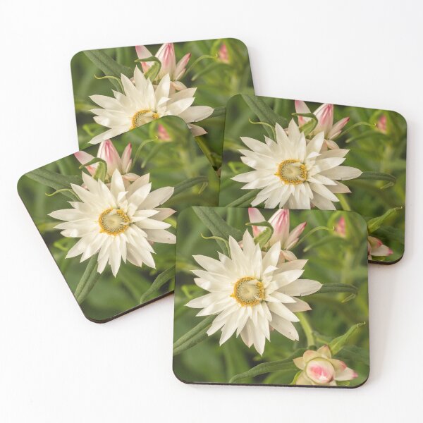 Item preview, white daisy rays designed and sold by Esther Frieda.
