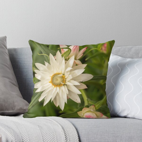 Item preview, white daisy rays designed and sold by Esther Frieda.