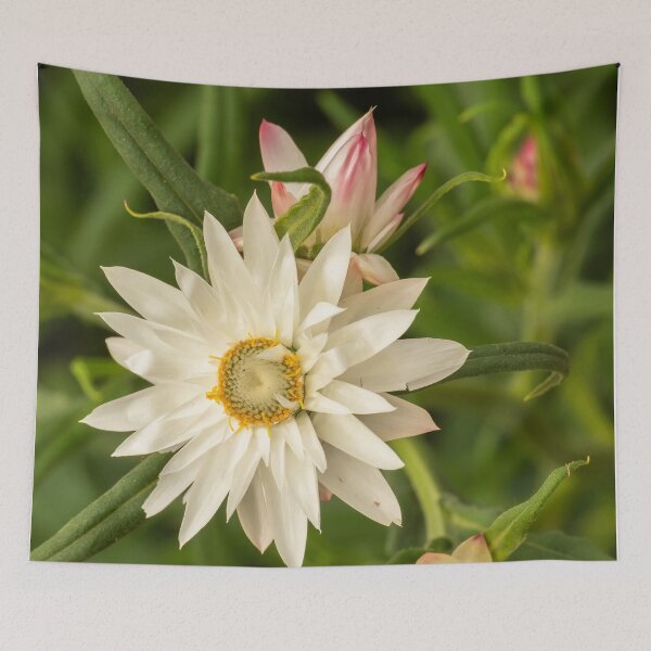 Item preview, white daisy rays designed and sold by Esther Frieda.
