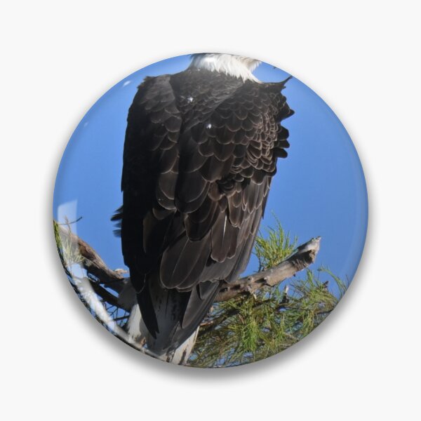 Item preview, Bald Eagle perched in a tree  designed and sold by Glennphotos.