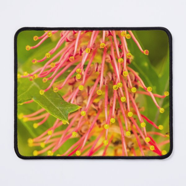 Item preview, grevillea spots designed and sold by Esther Frieda.