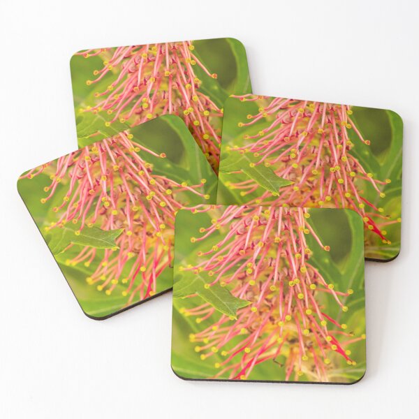 Item preview, grevillea spots designed and sold by Esther Frieda.