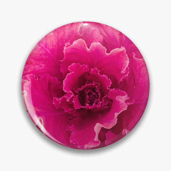 Item preview, purple cabbage open 2 designed and sold by Esther Frieda.