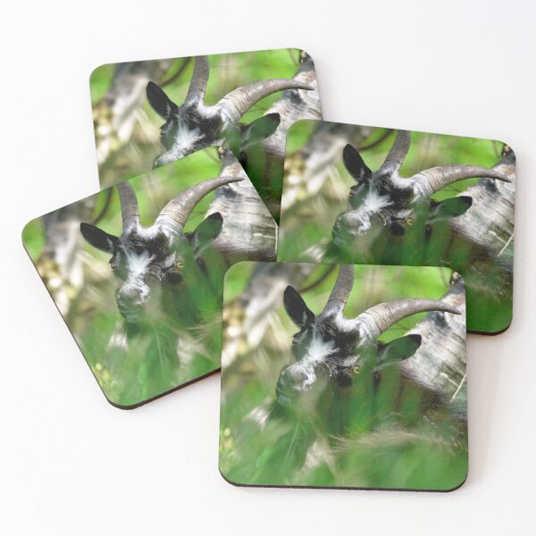 Item preview, Alert Wild Goat Surveying Its Surroundings in the Wilderness designed and sold by  Max's Animal Artistry.