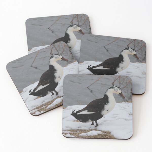 Item preview, Ancona duck waling in the snow by a pond designed and sold by WolfRaven Creations.