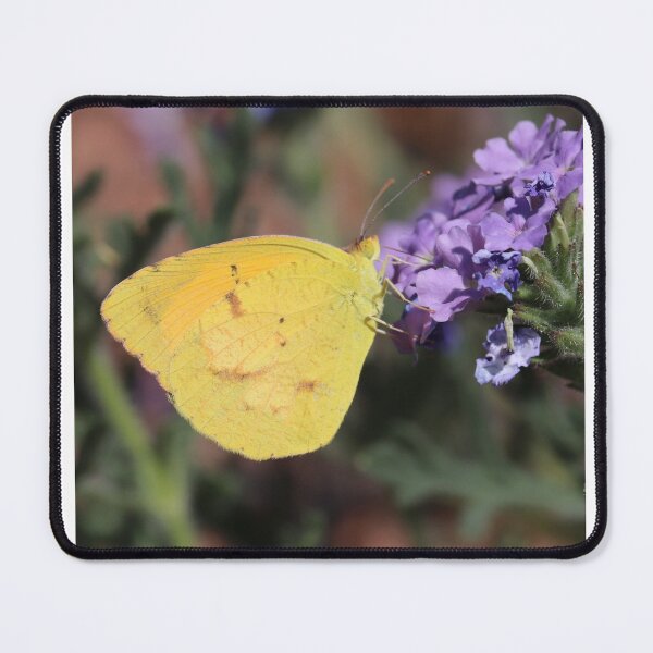 Item preview, Yellow Sulphur butterfly on purple flowers designed and sold by WolfRaven Creations.