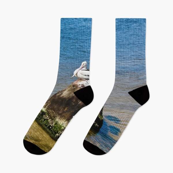 Item preview, Pelican on a Rock! designed and sold by Mickangelhere.