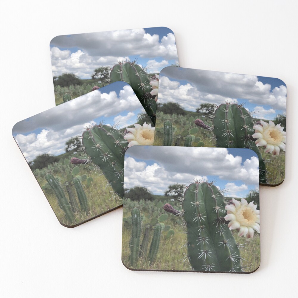 Item preview, Coasters (Set of 4) designed and sold by RDLT.