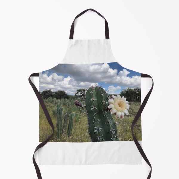 Item preview, Pitaya flower designed and sold by RDLT.