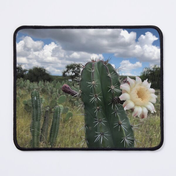 Item preview, Pitaya flower designed and sold by RDLT.