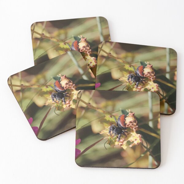 Item preview, Red-backed jumping spider on a leaf designed and sold by WolfRaven Creations.