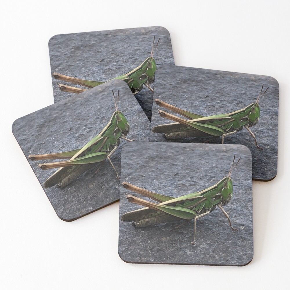 Item preview, Coasters (Set of 4) designed and sold by RDLT.