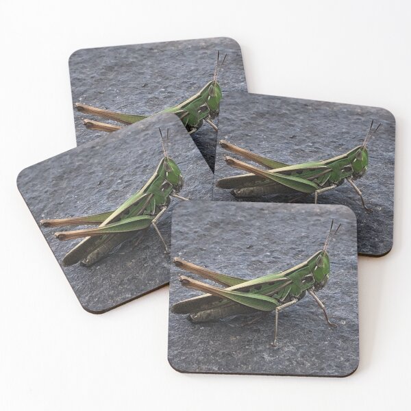Item preview, Green cricket designed and sold by RDLT.