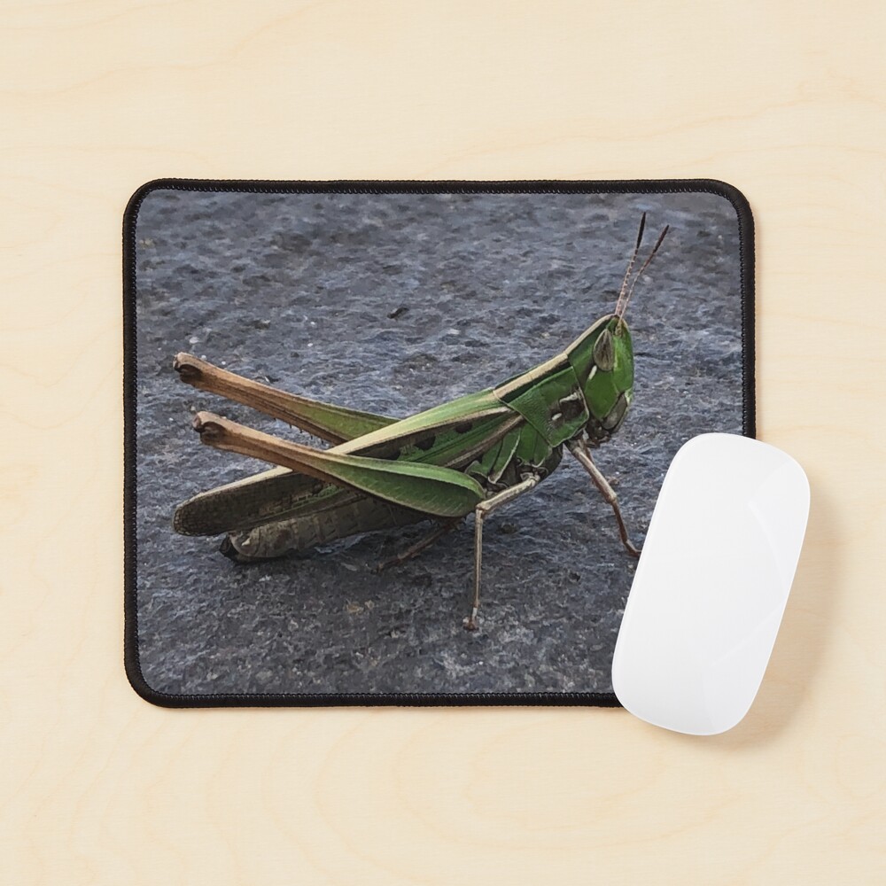 Item preview, Mouse Pad designed and sold by RDLT.