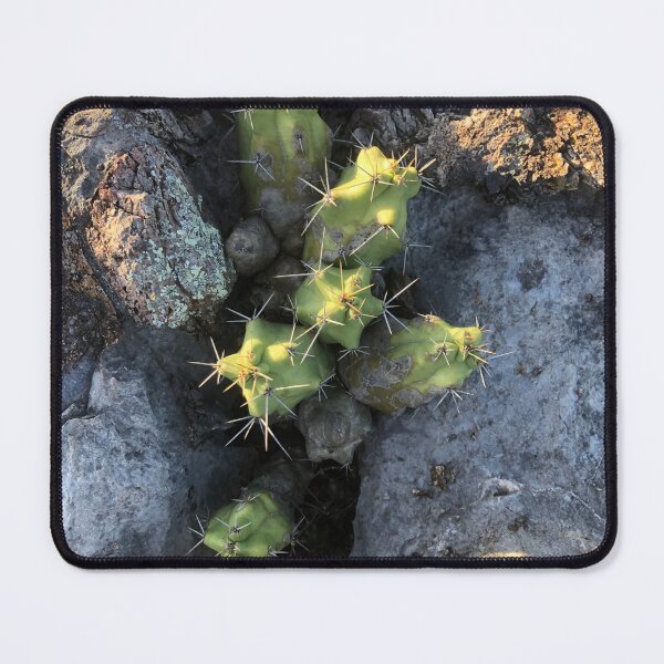 Item preview, Cactus entre piedras designed and sold by RDLT.