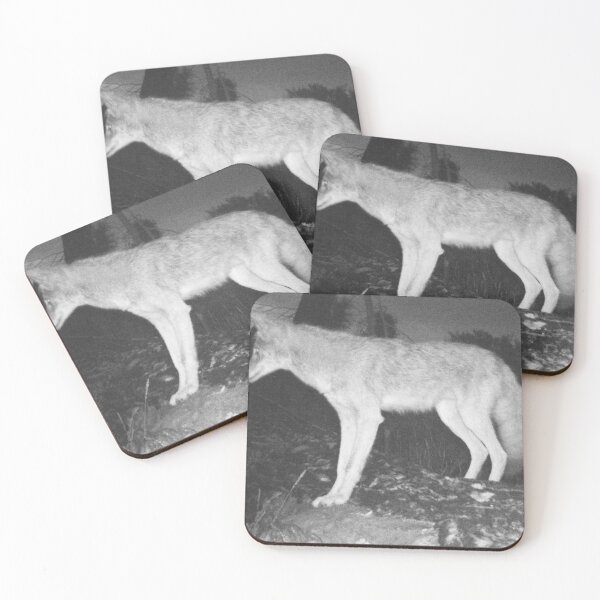 Item preview, Coyote At Night on a Fallen Tree. designed and sold by Wonders Of Paradise.