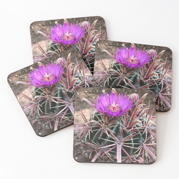 Item preview, Find the insect designed and sold by RDLT.