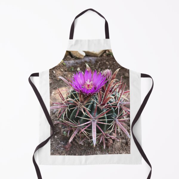 Item preview, Find the insect designed and sold by RDLT.