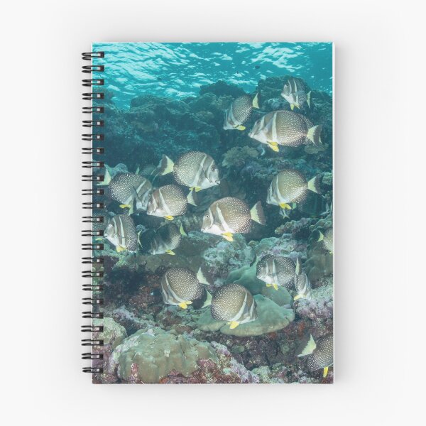 Item preview, White-spotted Surgeonfish designed and sold by Mark Rosenstein.