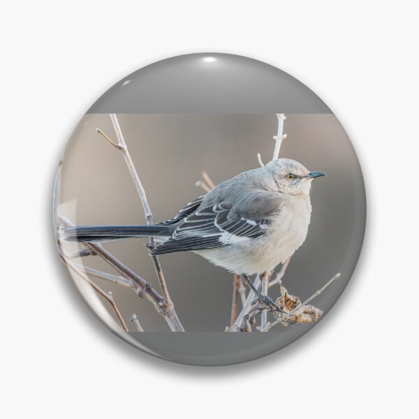 Item preview, Winter Mockingbird  designed and sold by Fultz-Brothers.