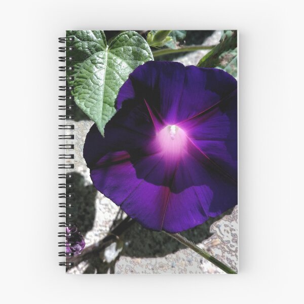Aperçu de l'œuvre Morning Glory Purple créée et vendue par neverfaraway.