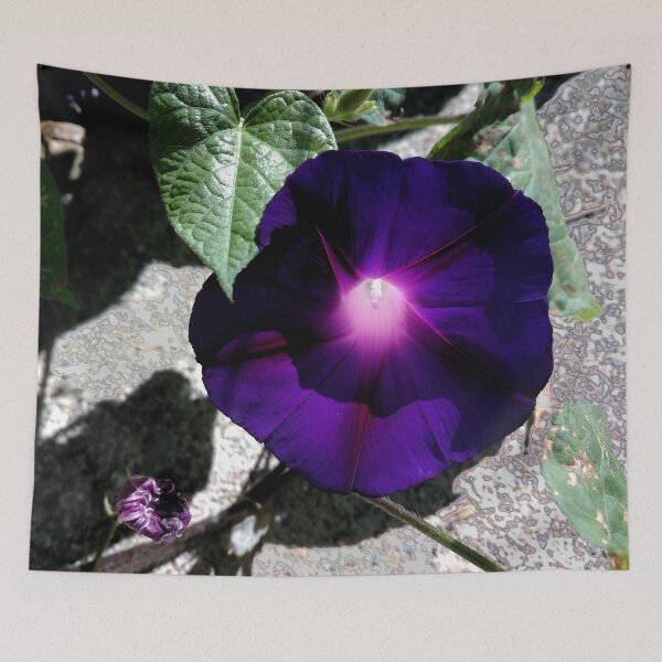 Item preview, Morning Glory Purple designed and sold by neverfaraway.