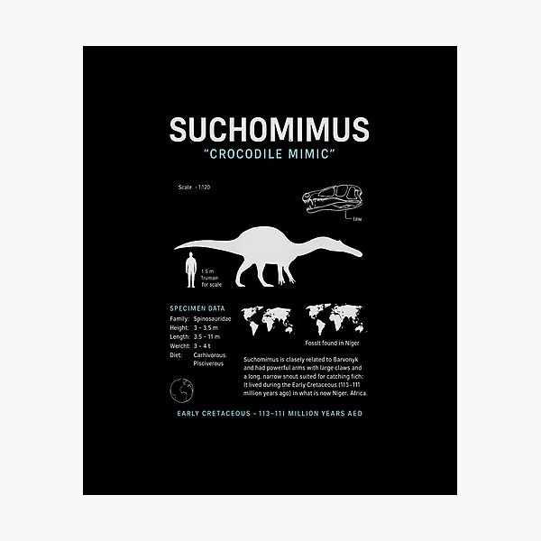 Item preview, Suchomimus “Crocodile Mimic” – Scientific Dinosaur Infographic T-Shirt designed and sold by DailyDrivesct.