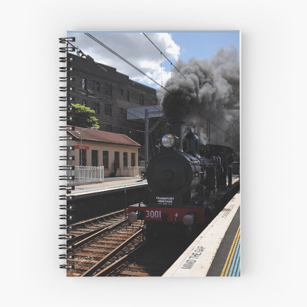 Item preview, Steam Engine 3001, Transport Heritage Expo 20251004 -2 designed and sold by muz2142.