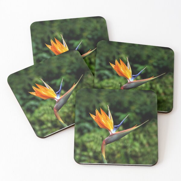 Item preview, Paradise designed and sold by heatherfriedman.