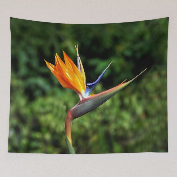 Item preview, Paradise designed and sold by heatherfriedman.