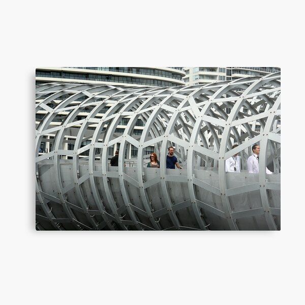 Framed in steel Metal Print