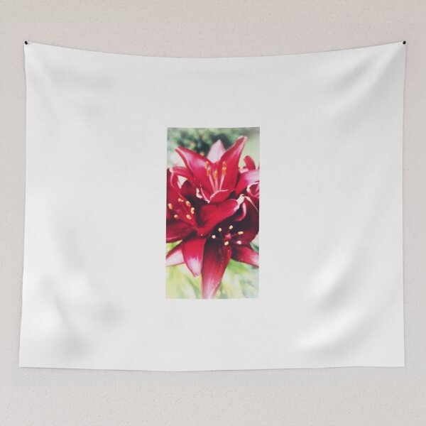 Item preview, Asiatic Lilies designed and sold by FuglyManorArt.