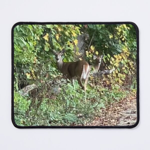 Item preview, Two Deer designed and sold by Amanda1775.